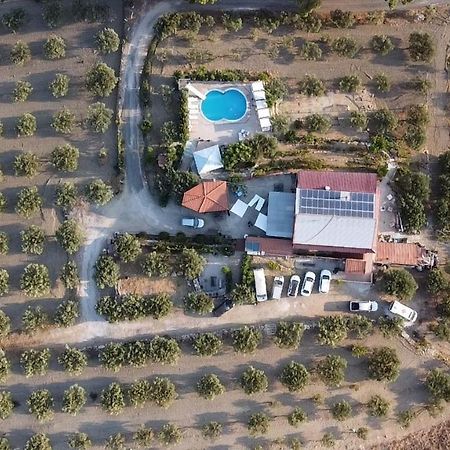 Terra Nostra Bed & Breakfast Cattolica Eraclea ภายนอก รูปภาพ