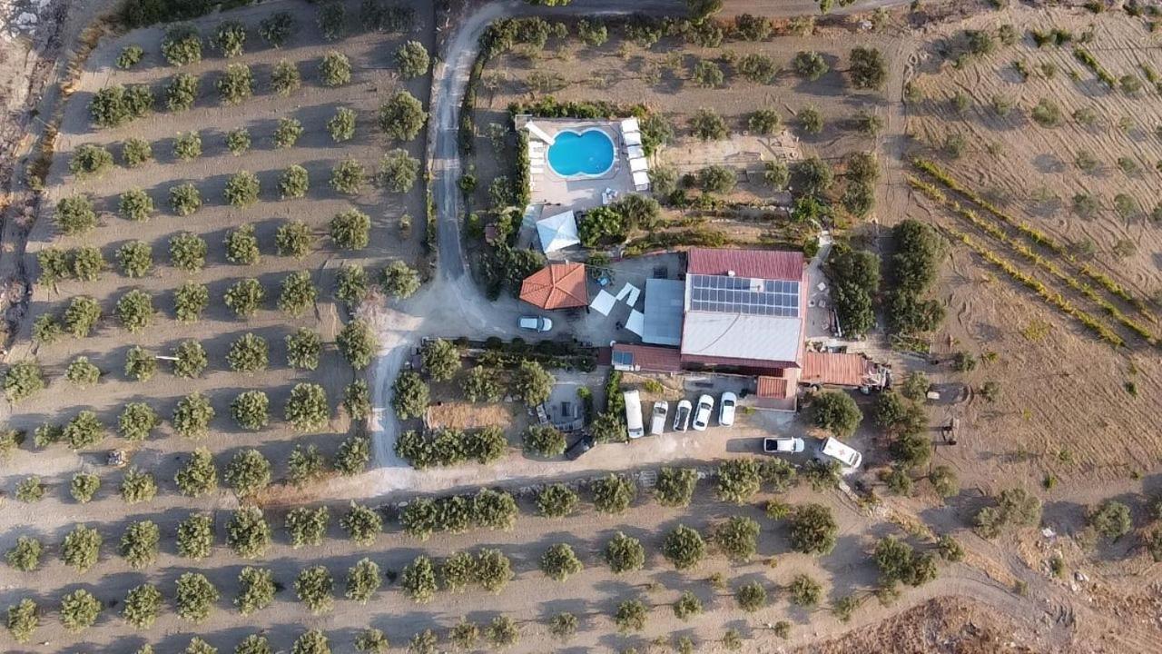 Terra Nostra Bed & Breakfast Cattolica Eraclea ภายนอก รูปภาพ